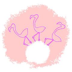 creative flamingo illustration