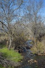 Views of the Fuentiduena stream on its way through the city of Cerceda, in the province of Madrid, Spain. In the background it can be seen The Guadarrama Mountains