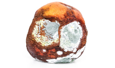 Moldy nectarine