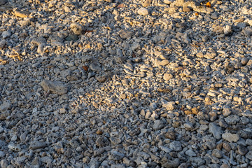 Pattern of Rock and Stone near by the Coastline