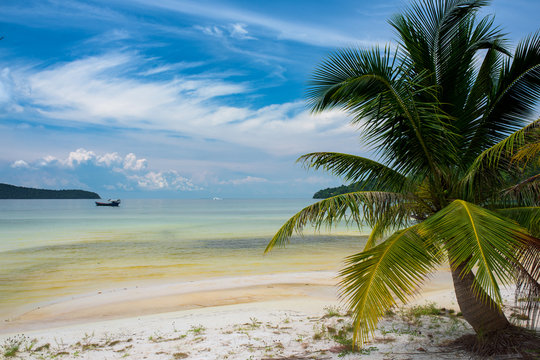 Tropical landscape of Koh Rong Samloem island with turquoise water, palm tree and mountain in the distance. Cambodia, asia.