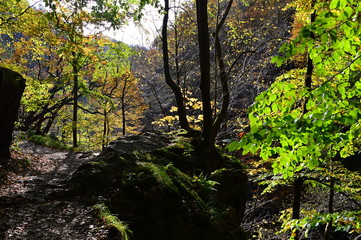 Fototapeta na wymiar Herbst im Bodetal im Harz