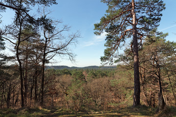 la Malmontagne hill in fontainebleau forest