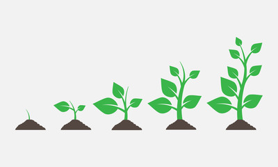 Plants growing in the ground. Vector illustration.