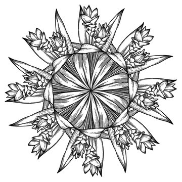 black and white floral mandala design clip art preview