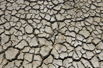 The parched soil