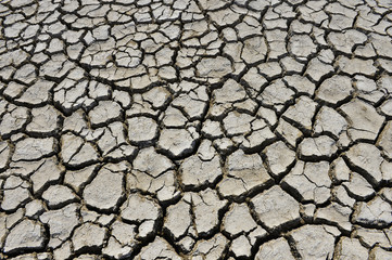 The parched soil