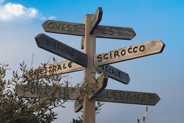 rosa dei venti in legno