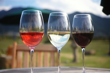 ワインピクニック