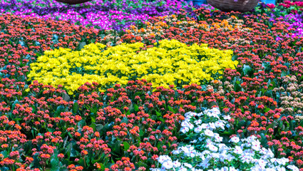 Flowerbeds in the park decorated many kinds of flowers in bursts of colorful colors in the early spring sunshine beautiful.