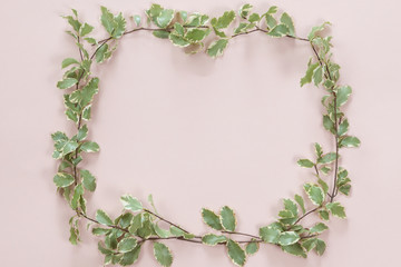 Top view and flat lay of green leaves frame on white pink background.