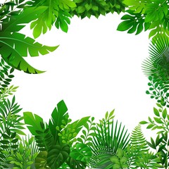 summer tropical forest