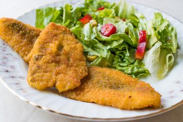 Fried Crispy Sardine Fish Plate with Salad / Seafood Sardalya