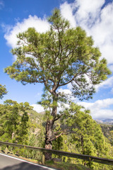 Winding road in the mountains