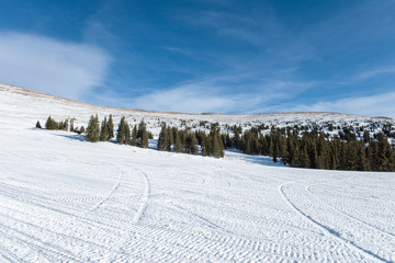 White Trails
