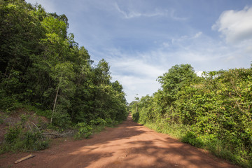 country road