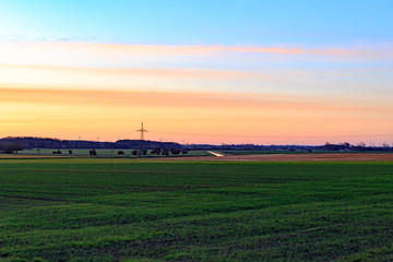 grünes landwirtschaftliches Feld bei Sonnenaufgang