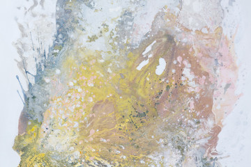 Abstract oil painting. Squirrel  on white background, close up.