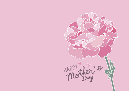 Mother's day design and pink carnation flower on pink background vector illustration