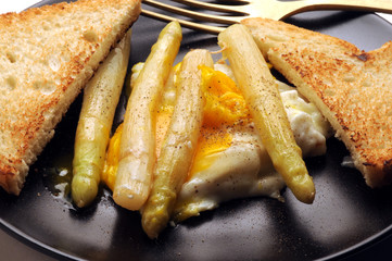 Asparagus officinalis