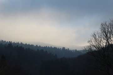 Obraz na płótnie Canvas Landscape with a lot of mist