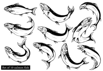 Naklejka premium Salmon art highly detailed in line art style.salmon fish vector by hand drawing.Fish tattoo on white background.Black and white fish vector on white background.Salmon fish sketch for coloring book.