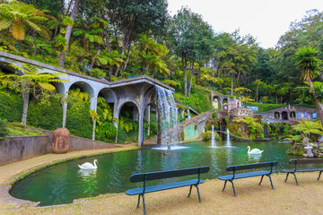 Central lake inside of Monte tropical garden of Madeira in summer season