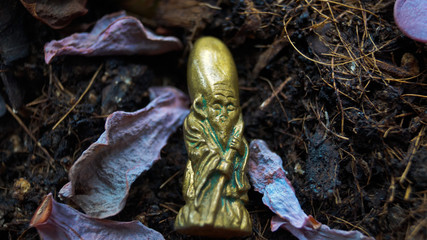 Obraz premium Metal figurine of Buddha on earth