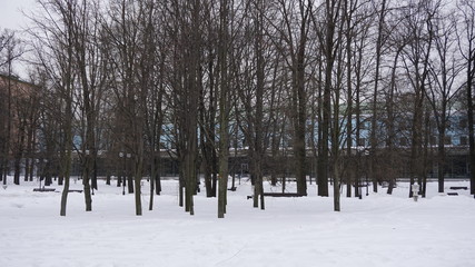 Winter in Moscow city