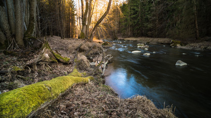 Scenic stream in forest landscape. Lomnice river, South Bohemia. Spring nature with fallen tree trunk covered with moss on the bank of riverbed with rippled water surface and stones.