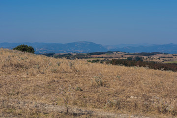 Fototapeta premium Landscape of the countryside and hay bales in Greece. Fields and agricultural machinery in Greece
