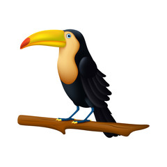 Toucan Bird illustration