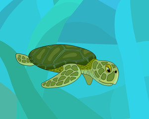 cartoon sea colorful turtle, stock vector