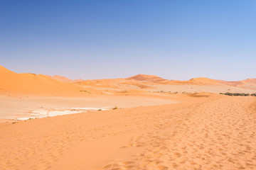 Fototapeta na wymiar Sand dunes Namib desert, salt flat, roadtrip in the wonderful Namib Naukluft National Park, travel destination in Namibia, Africa.