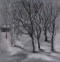 winter landscape with birches