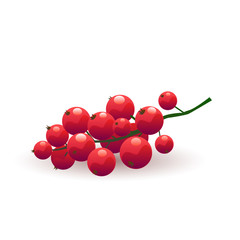 Ripe red currant vector illustration