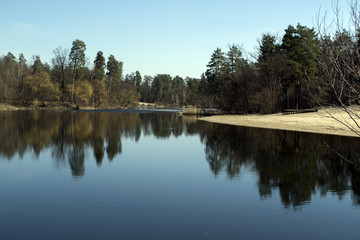 Forest landscape at spring. Sunshine weather. Forest lake.