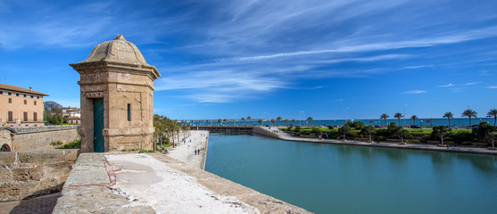 Obraz premium island mallorca, city palm, Mediterranean Sea