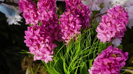 Easter Day in Moscow city