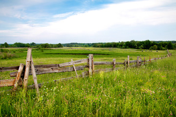Fototapeta na wymiar Beautiful rural landscape with a wooden fence on a wild meadow