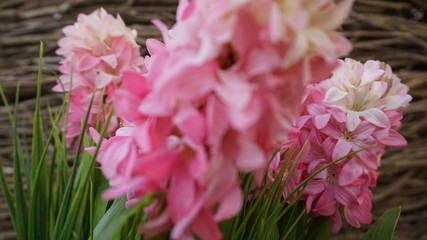 Easter Day in Moscow Russia