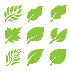 leaf icon 