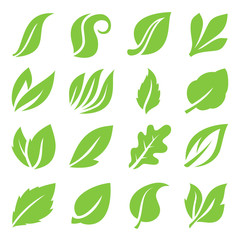 leaf icon 