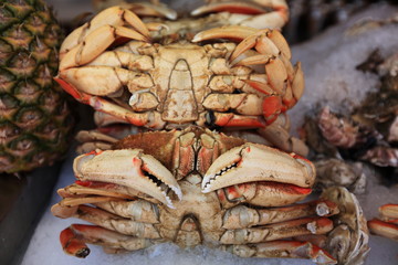 Crabs in the market 