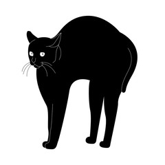 vector illustration:  black cat arch its back on the white background