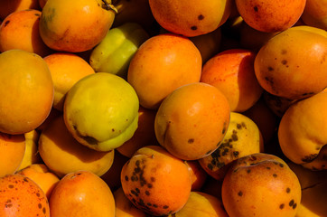 Background of the fresh ripe apricots