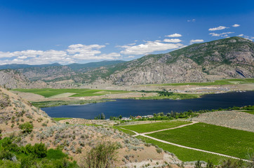 Fototapeta na wymiar Valley with a Lake and Vineyards on a Clear Summer Day. Okanagan Valley, BC, Canada.