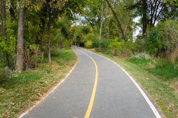 Fototapeta na wymiar Empty Curving Bicycle Ptah Through a Wood on a Fall Day. Alexandria, VA