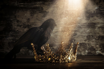 low key image of beautiful queen/king crown and black crow. fantasy medieval period. Selective...