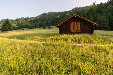Fototapeta na wymiar Hütte am Feld im Sonnenaufgang - Sommer in den Alpen